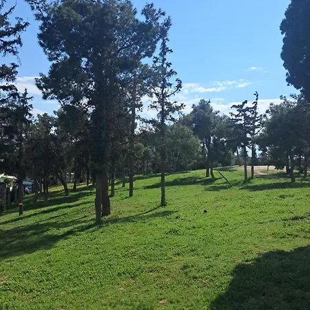 Alsos 아파트