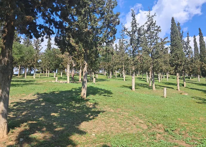 Apartament Alsos