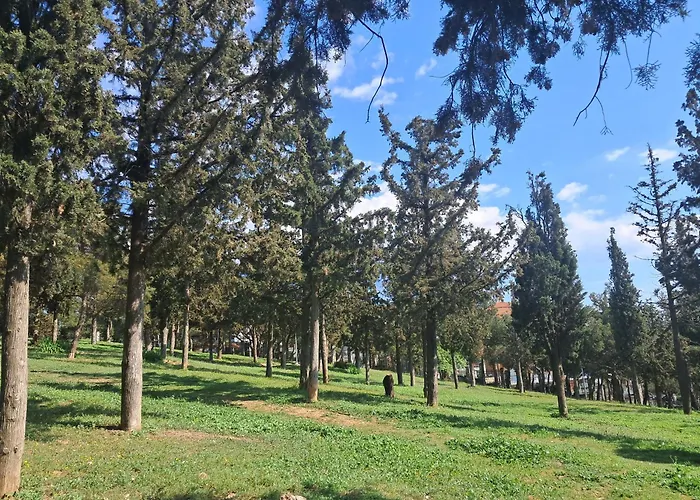 Apartament Alsos *