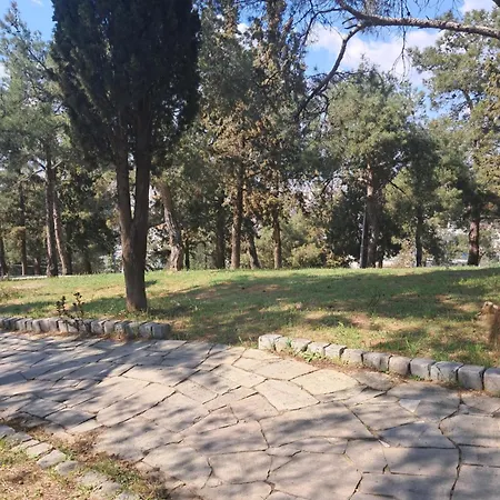 Alsos דירה סלוניקי